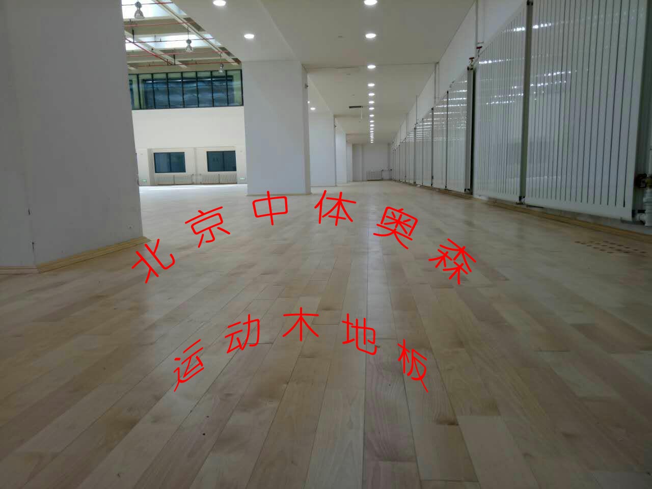 A塘沽生態體育館（guǎn）__副本(1).jpg